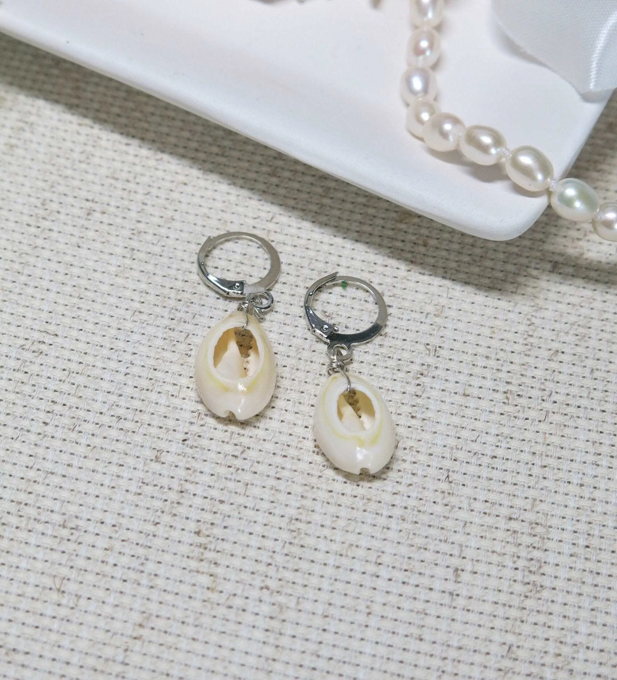 African Cowrie Seashell Hoop Earrings, White Kauri Beach Wedding Earrings, Bridal Shower Shell Dangle Lever Earrings