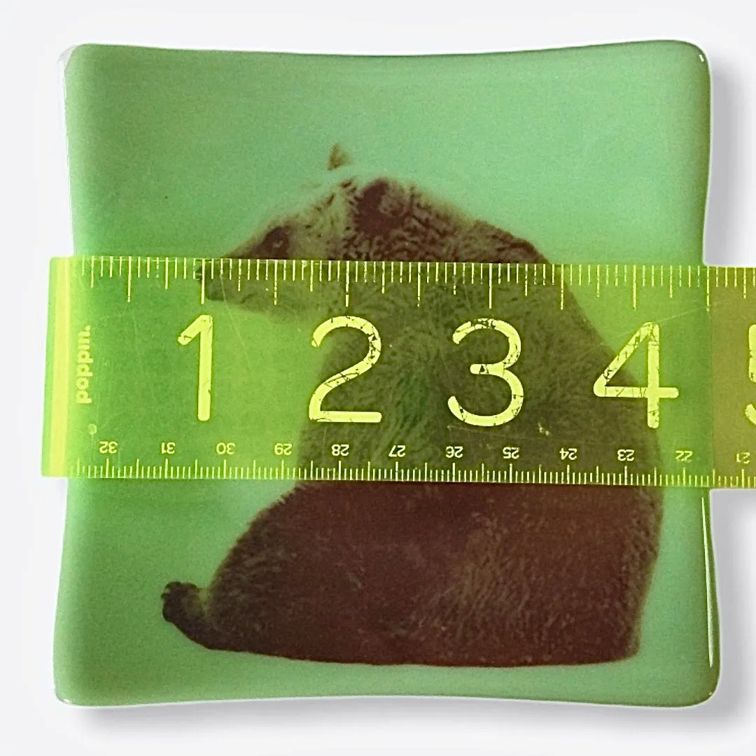 Bear Dish Jadeite Green Glass