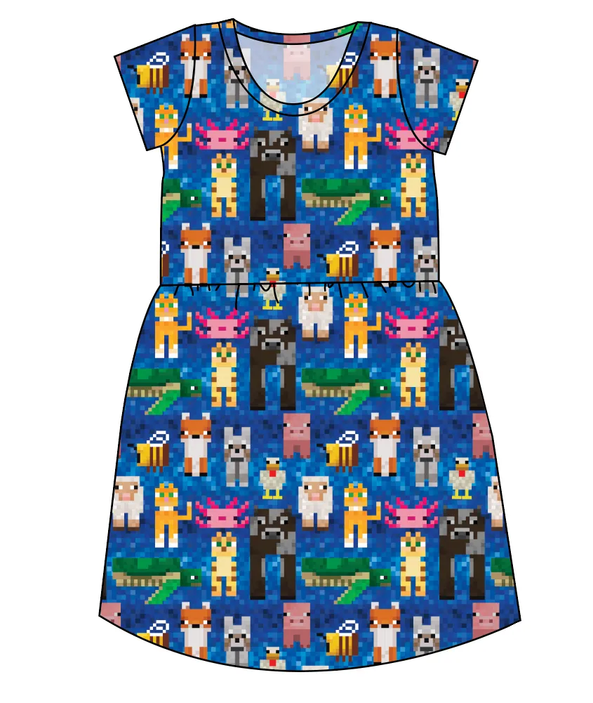 Block Friends Ladies' Play Dress