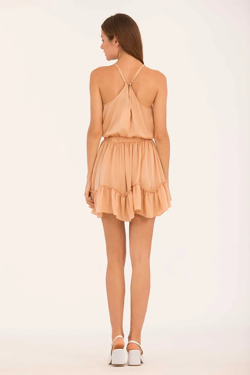 Dawie (Apricot)