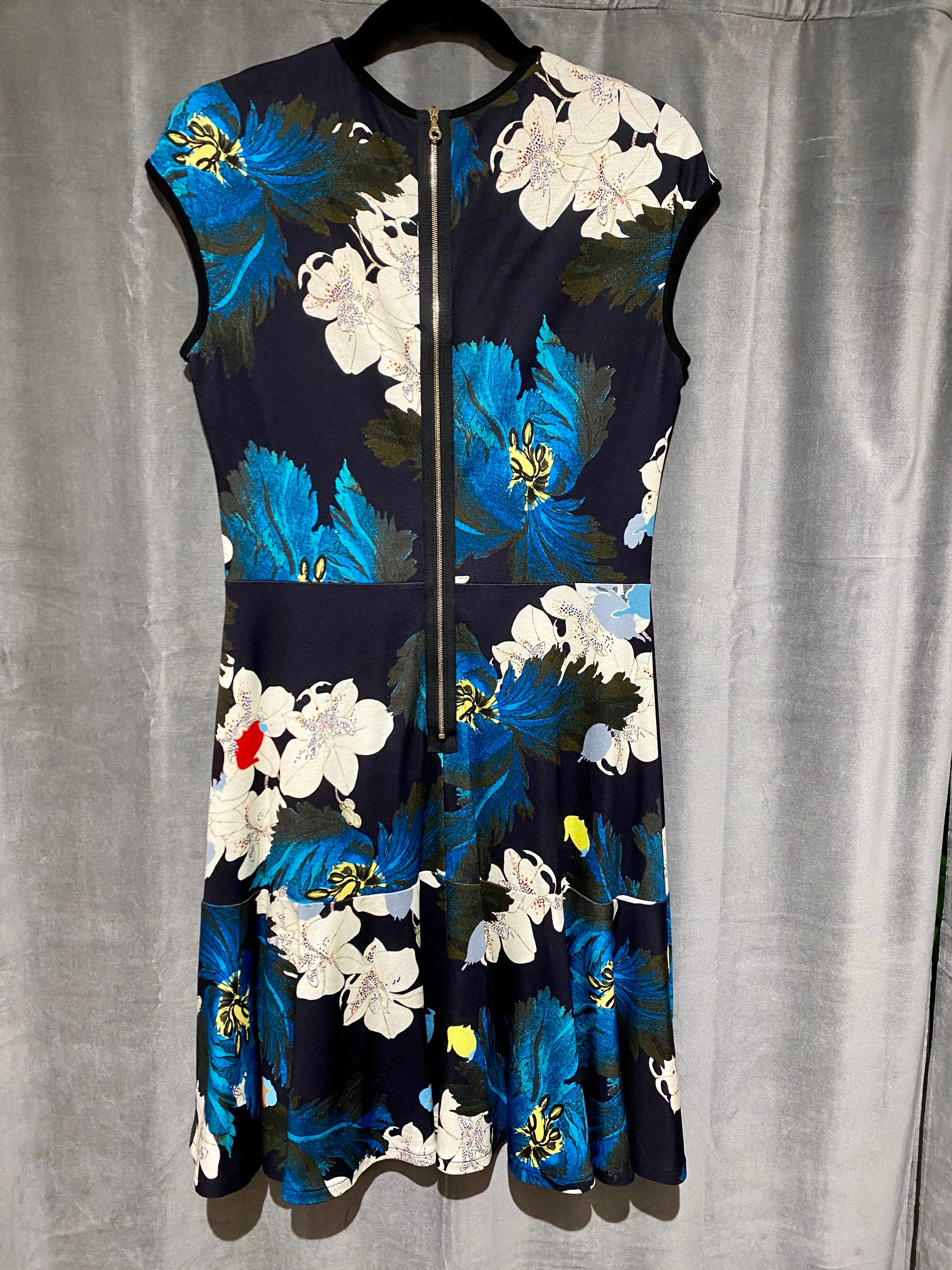 Erdem Sleeveless Fit and Flare Cotton Floral Print Dress