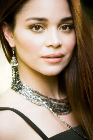 Hematite Necklace