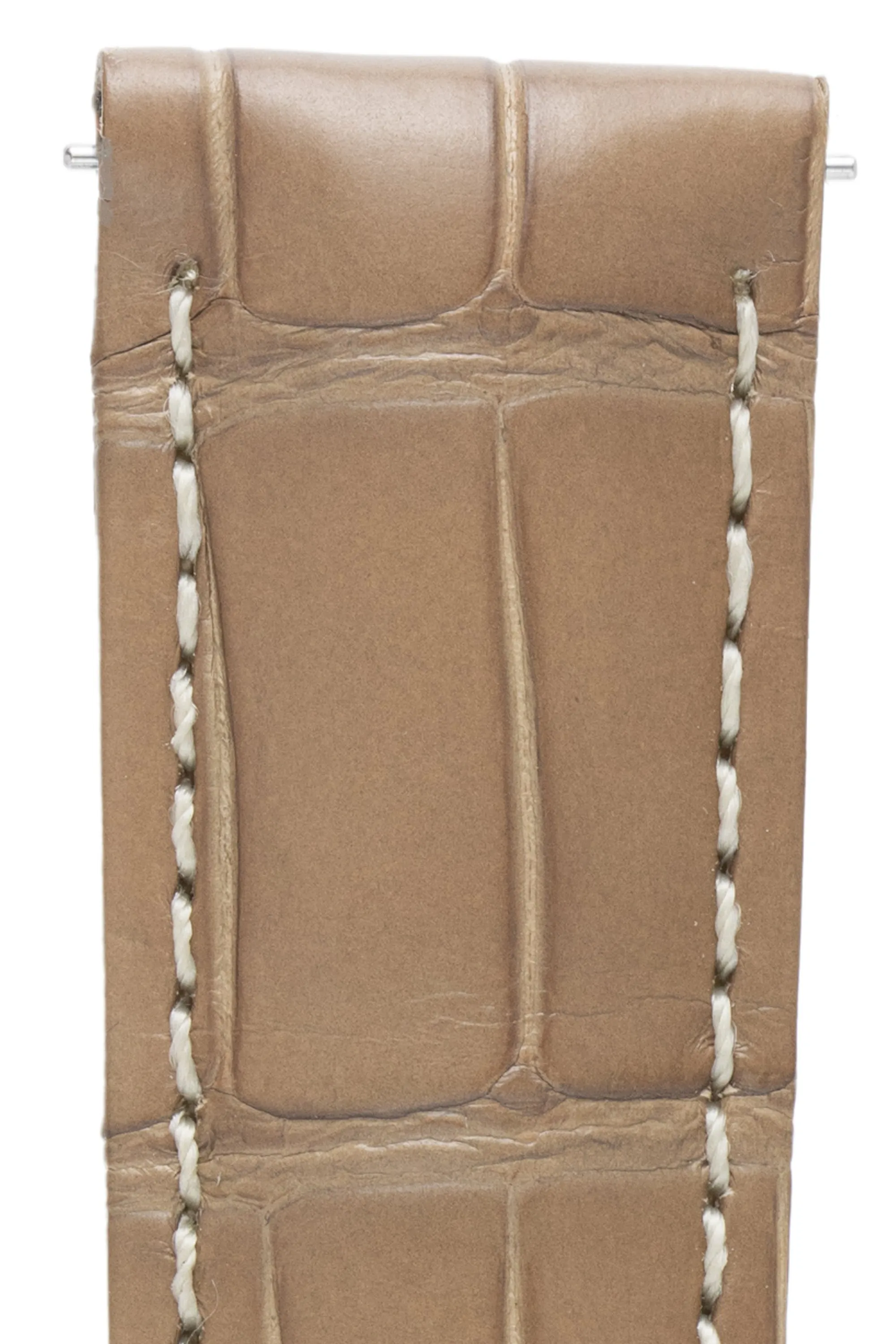 Hirsch TRITONE Padded Alligator Leather Watch Strap in BEIGE with WHITE Stitching