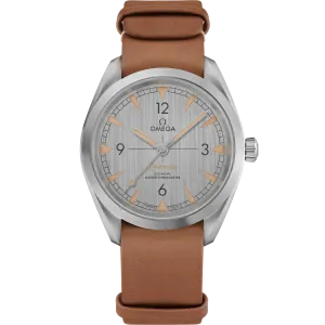 Omega Seamaster Railmaster 40 mm, steel on NATO strap