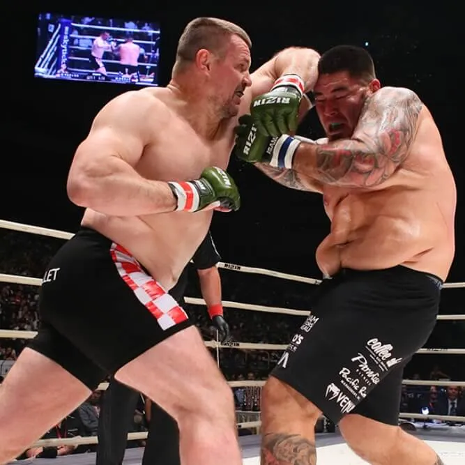Rizin MMA Gloves