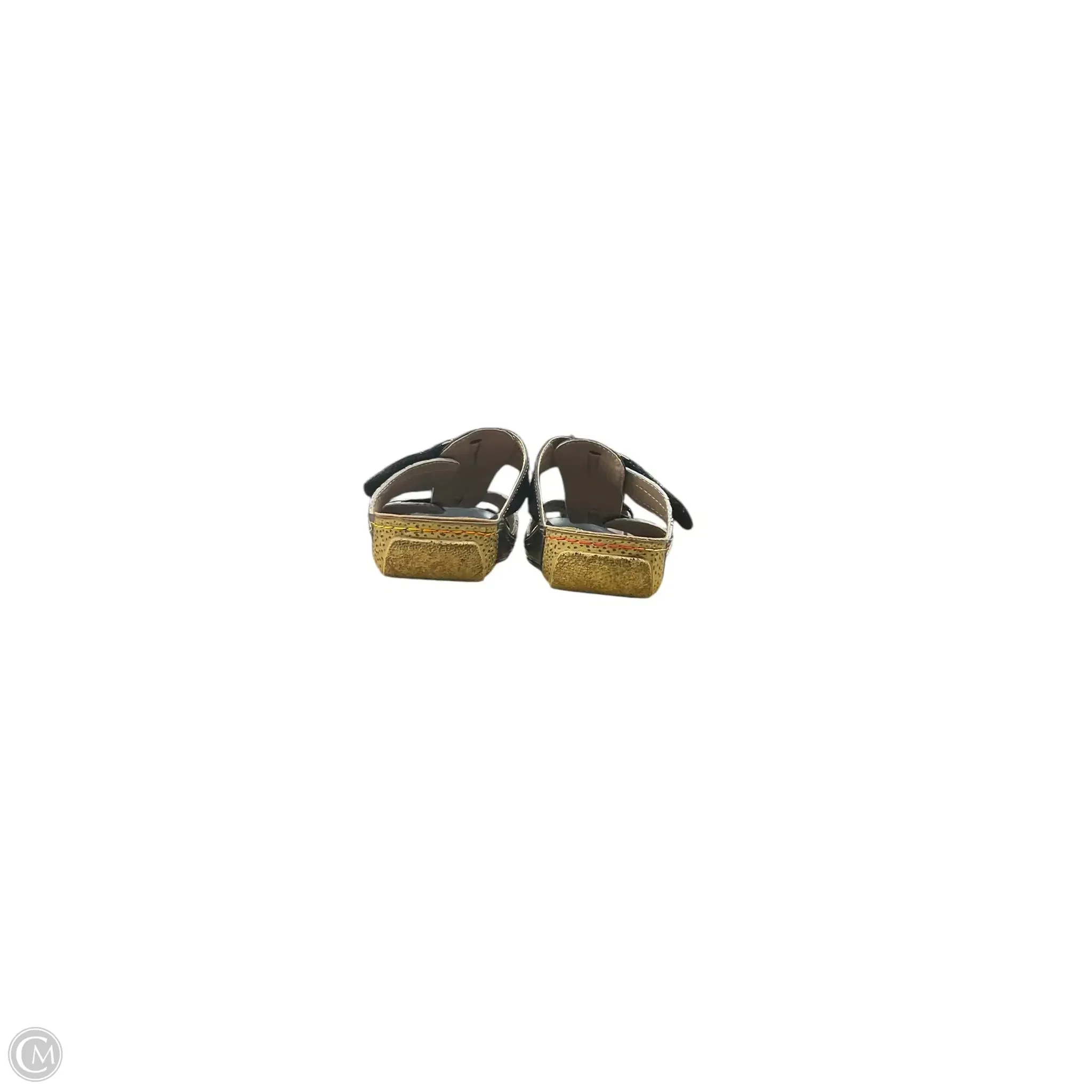 Sandals Flats By Spring Step In Floral Print, Size: 7.5