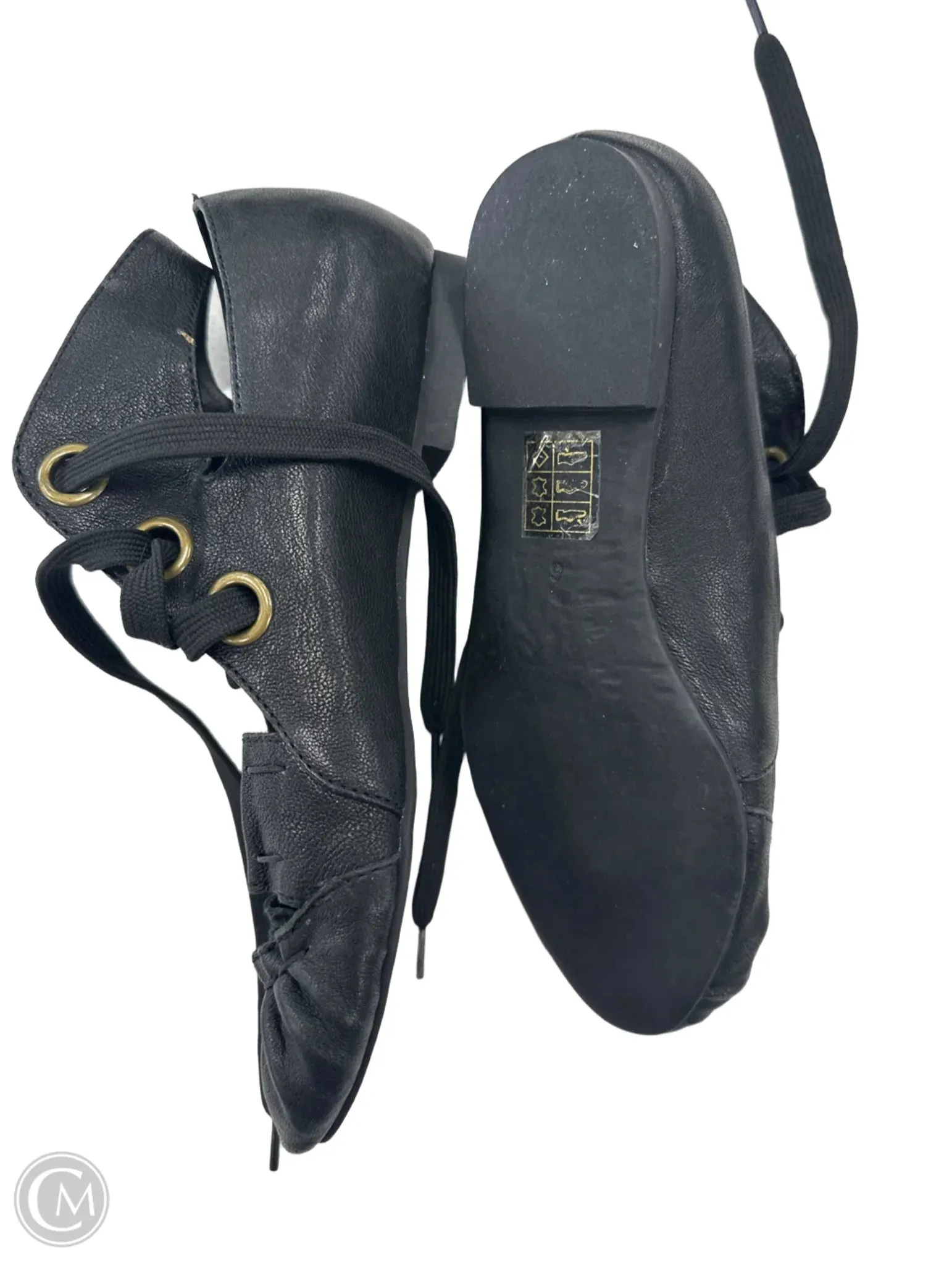Shoes Flats By Jeffery Campbell In Black, Size: 6