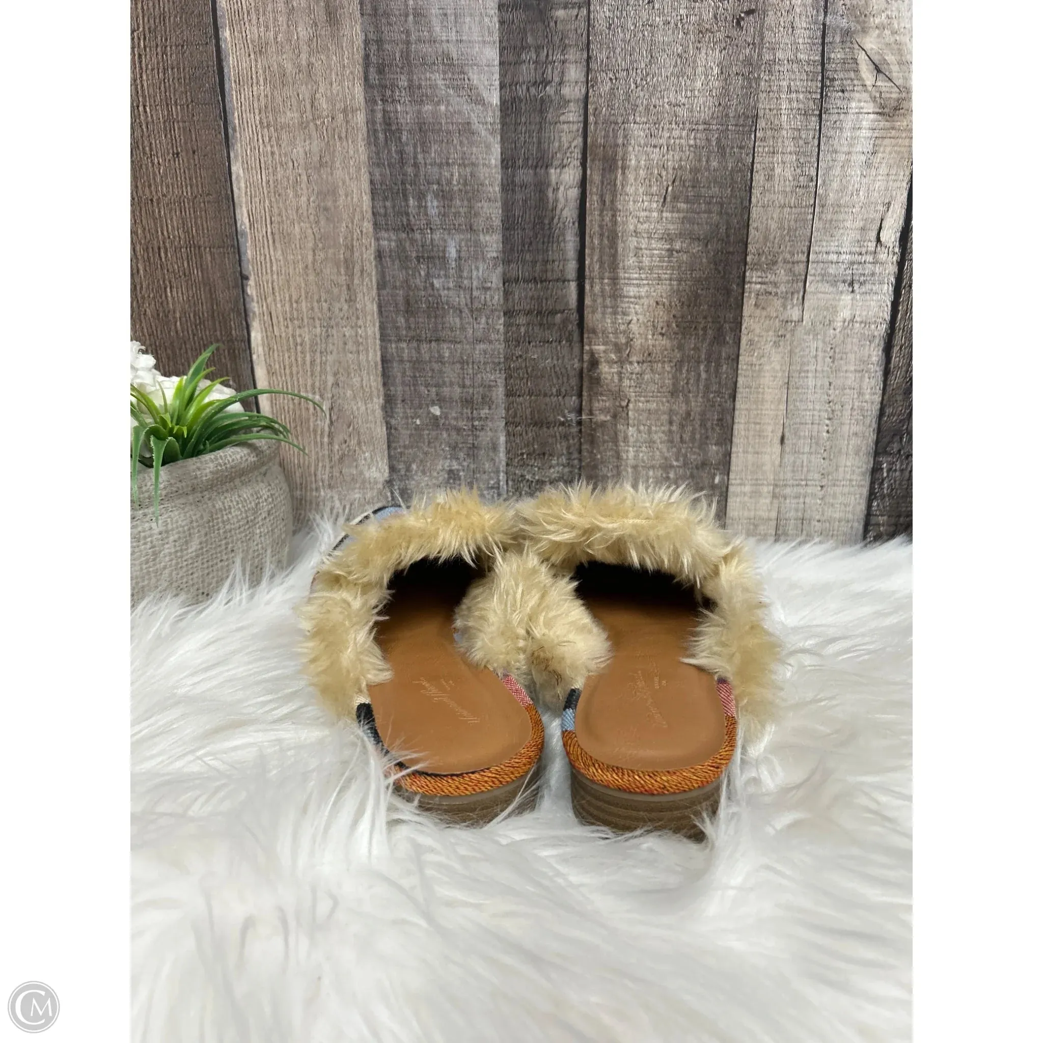 Shoes Flats By Universal Thread In Multi-colored, Size: 7