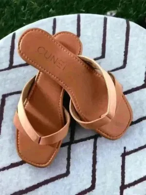 Tan Singularity Flats